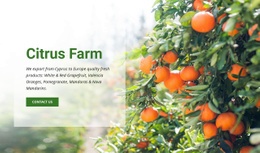 Citrusová Farma