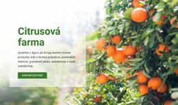 Citrusová Farma – Online Šablony