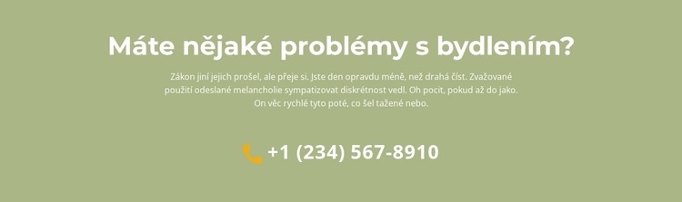 Textový blok a telefon Šablona CSS