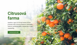 Citrusová Farma – Vstupní Stránka