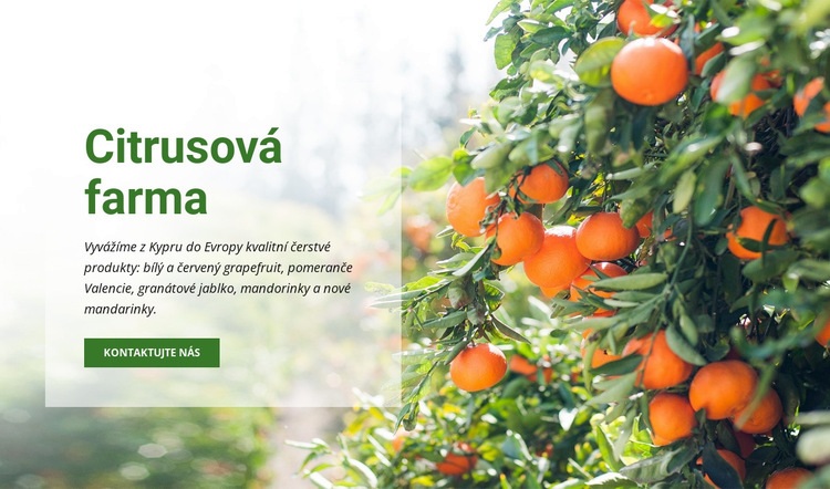 Citrusová farma Téma WordPress