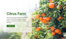 Citrus Farm Schone En Minimale Sjabloon