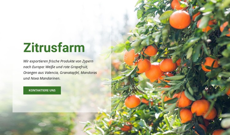 Zitrusfarm CSS-Vorlage