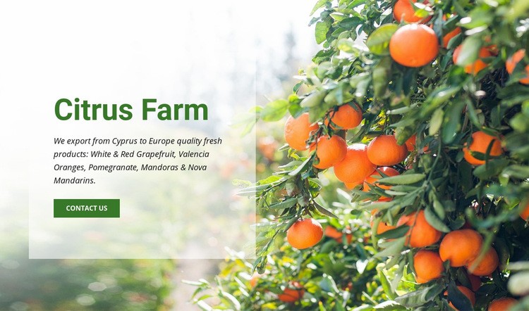 Citrus Farm Elementor Template Alternative