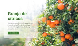 Granja De Cítricos: Página De Destino Profesional Personalizable