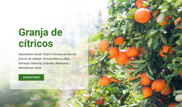 Granja De Cítricos: Plantilla De Página HTML