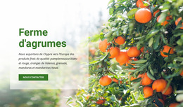 Ferme D'Agrumes - Modèle Joomla Gratuit