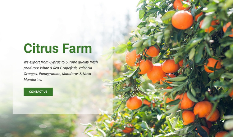 Citrus Farm Homepage Design