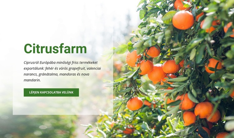 Citrusfarm Weboldal tervezés