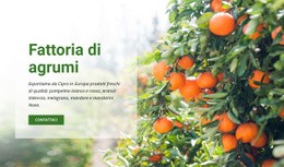 Fattoria Di Agrumi - Progettazione Creativa Del Sito Multiuso