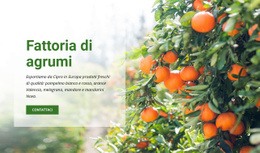 Fattoria Di Agrumi - Modelli Online