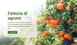 Fattoria Di Agrumi - Pagina Di Destinazione Professionale Personalizzabile