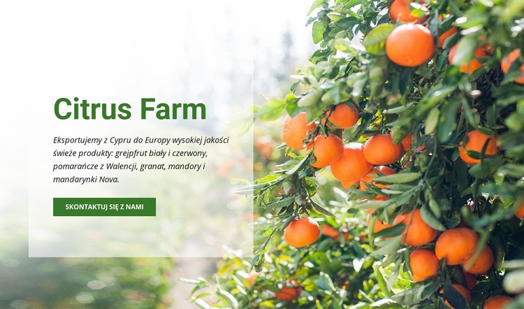 Citrus Farm Makieta strony internetowej