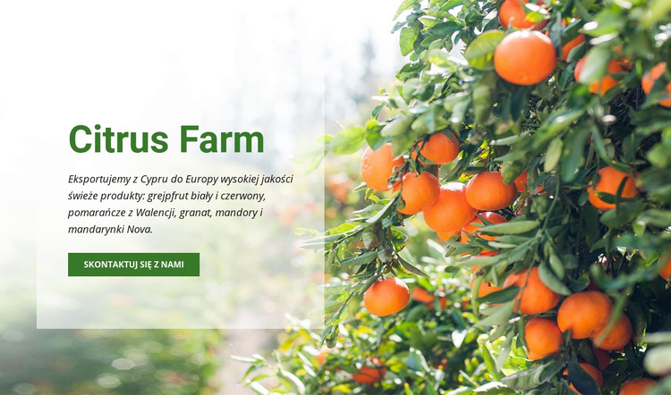 Citrus Farm Motyw WordPress