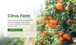 Citrus Farm Profesjonalny Projekt