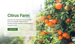 Citrus Farm - HTML Website Maker