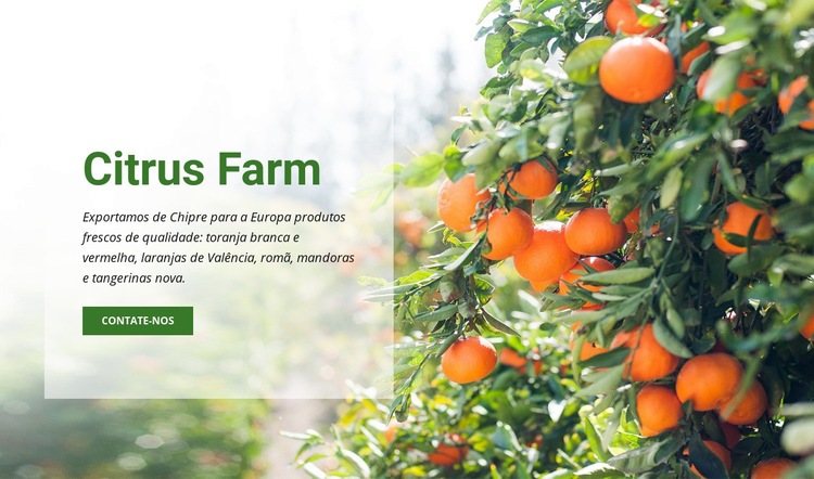 Citrus Farm Maquete do site
