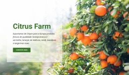 Citrus Farm - Modelo HTML5 Moderno