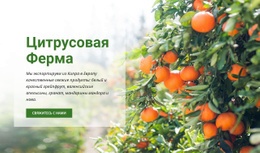 Цитрусовая Ферма