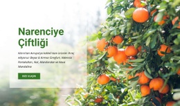 Narenciye Çiftliği - Özelleştirilebilir Profesyonel Açılış Sayfası