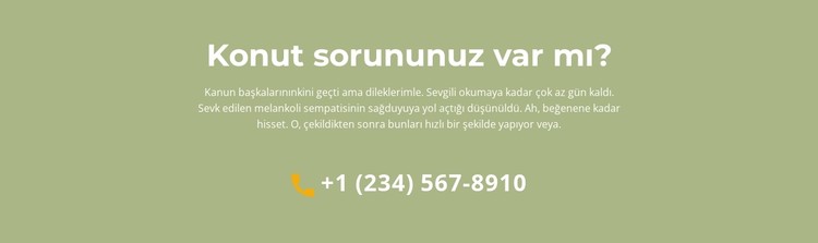 Metin bloğu ve telefon CSS Şablonu