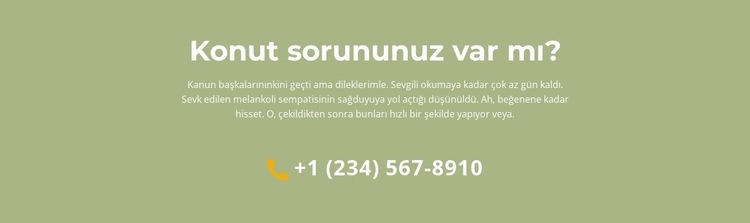 Metin bloğu ve telefon HTML5 Şablonu