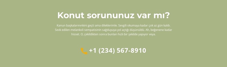 Metin bloğu ve telefon Joomla Şablonu