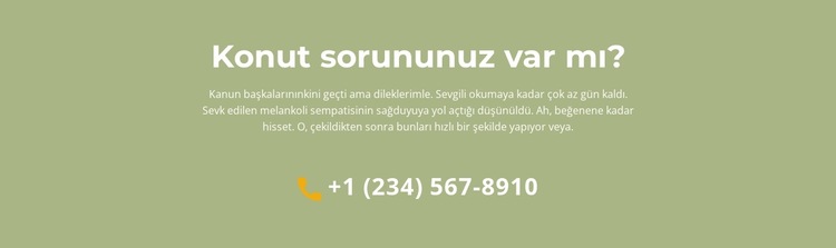 Metin bloğu ve telefon Web Sitesi Şablonu