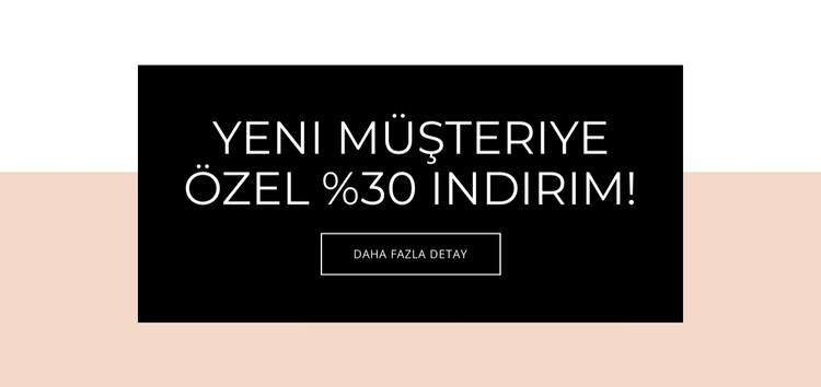 Yeni müşteriler için özel teklif WordPress Teması