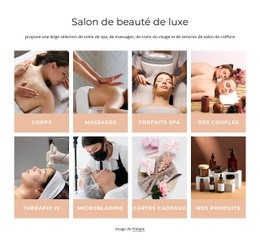 La Meilleure Conception De Site Web Pour Salon De Beauté De Luxe