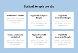 Moderní Psychoterapie Založená Na Důkazech