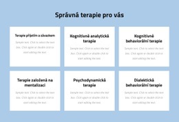 Moderní Psychoterapie Založená Na Důkazech Jejich Webové Stránky