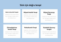 Modern Kanıta Dayalı Psikoterapi