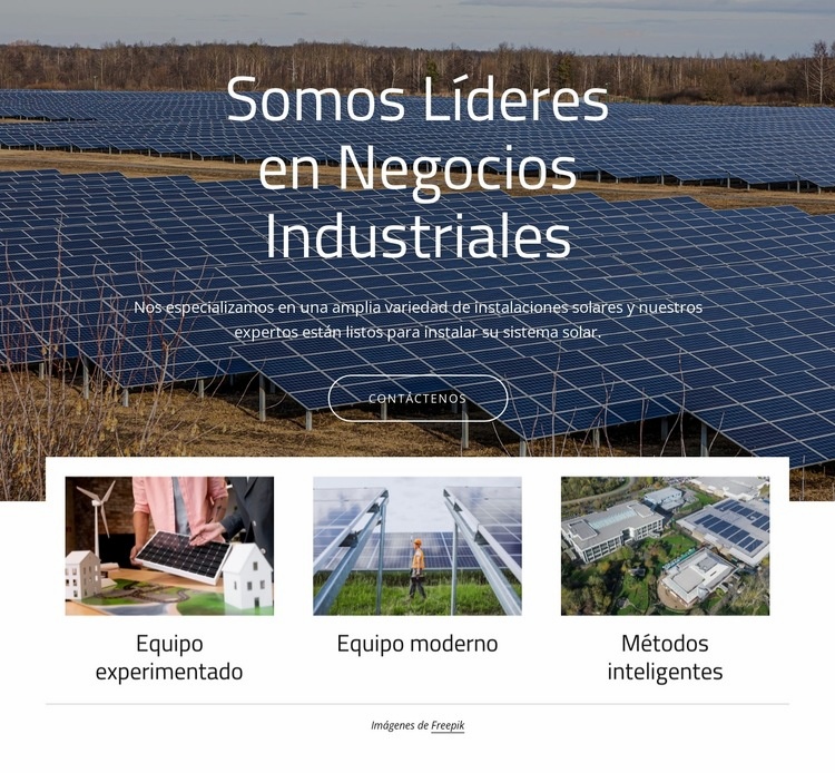 Somos líderes en energía solar Maqueta de sitio web