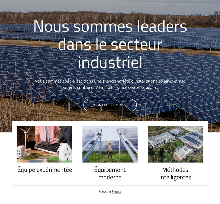 Nous sommes leaders dans l'énergie solaire Modèle de site Web