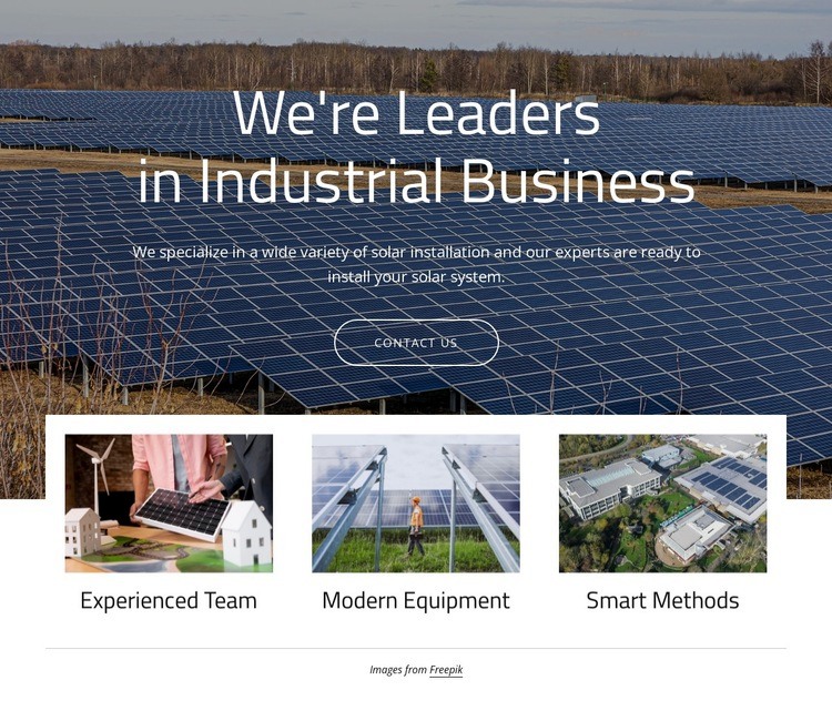 We are leaders in solar energy Homepage Design