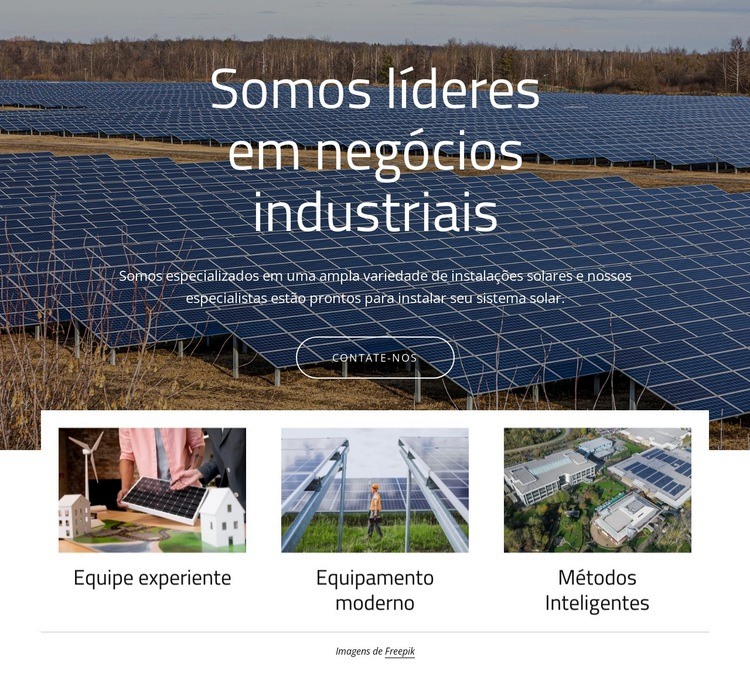 Somos líderes em energia solar Modelo de uma página