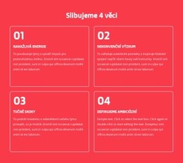 Slibujeme 4 Věci – Přizpůsobitelný Profesionální Design