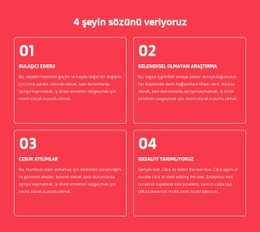 4 Şeyin Sözünü Veriyoruz - Çok Amaçlı Açılış Sayfası