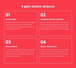 4 Şeyin Sözünü Veriyoruz - Web Sitesi Oluşturucu