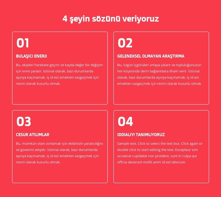 4 şeyin sözünü veriyoruz Web sitesi tasarımı