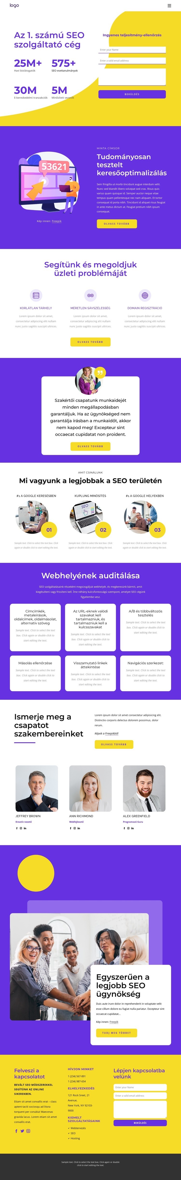 SEO szolgáltató cég Weboldal sablon