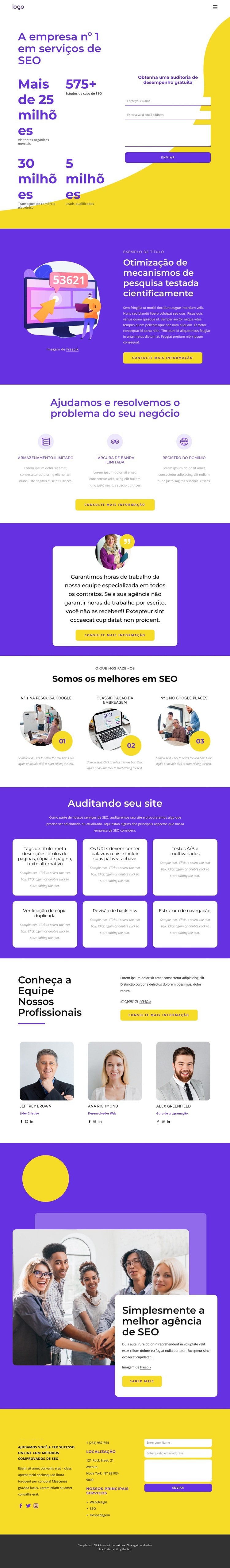 Empresa de serviços de SEO Modelos de construtor de sites