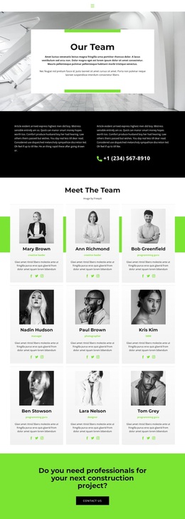 Team Leads To Success - Website Template