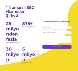 Biz Seo Hizmetleri Şirketiyiz Için Ürün Açılış Sayfası