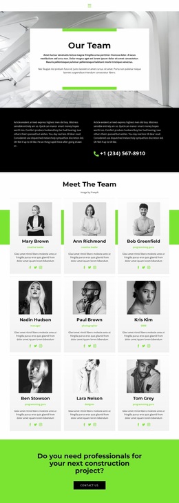 Team Leads To Success - Modern Site Design