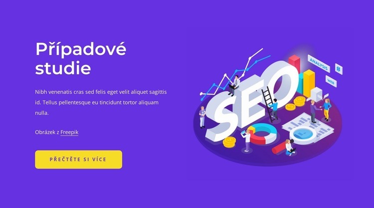 Případové studie SEO Šablona CSS