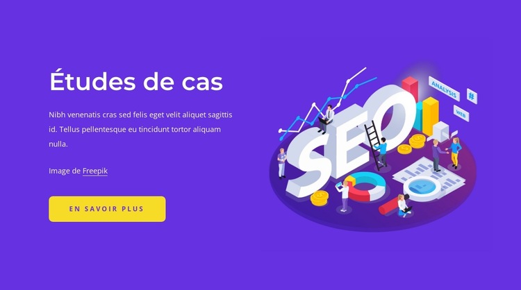 Études de cas SEO Modèle de site Web