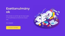 SEO Esettanulmányok – A Legjobb WordPress Téma