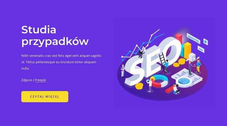 Studia przypadków SEO Motyw WordPress